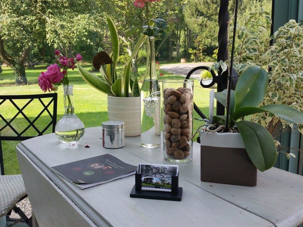 Seine en Bulles Villa Bar-sur-Seine Eksteriør bilde